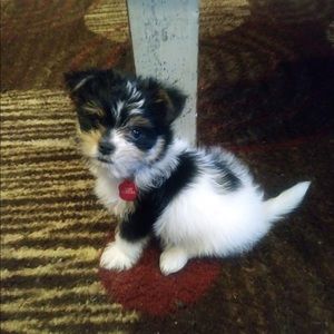 Meet your Posher, Kendra